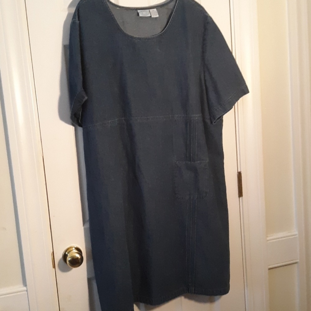 Jean Dress - Picture 2 of 3